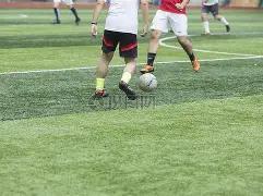 蛇年双色球,揭秘大师独,家红球胆码,重庆体彩,重庆体彩网,重庆体彩网官网,体育彩票,体彩大乐透,竞彩足球,体彩公益