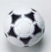 神奇彩果揭,双色球,期独家预测,重庆体彩,重庆体彩网,重庆体彩网官网,体育彩票,体彩大乐透,竞彩足球,体彩公益