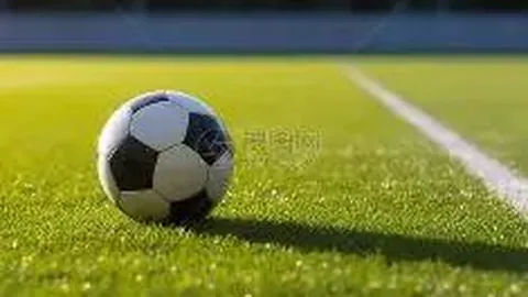 【独家揭秘】2026018期双色球神预测：绝版蓝球号码10，错过等一年！