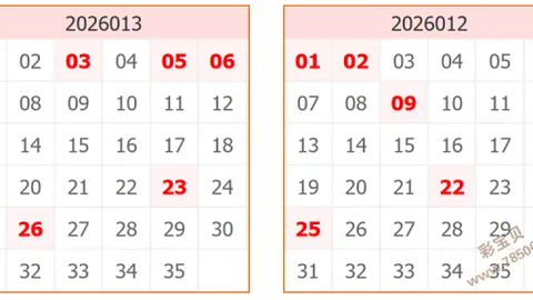 【神秘小仙女】揭秘：3D26期独家预测，必中神码2，不容错过！