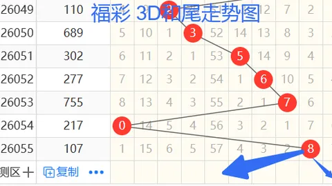 福彩3D狗年26067期晓红精选组选五注，专家推荐质合分析中