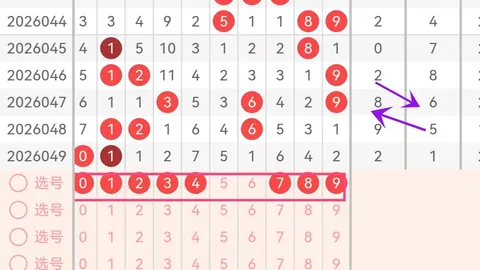 大乐透26020期专家质合分析：后区独胆04，和值关注9